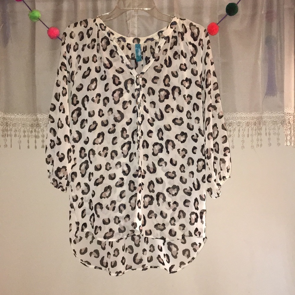 Francesca’s Leopard Chiffon Blouse